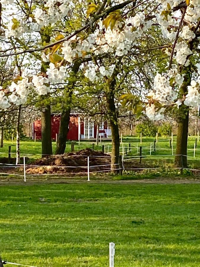 مبيت وإفطار Heijen De Heeren Hoeve Carpe Diem المظهر الخارجي الصورة