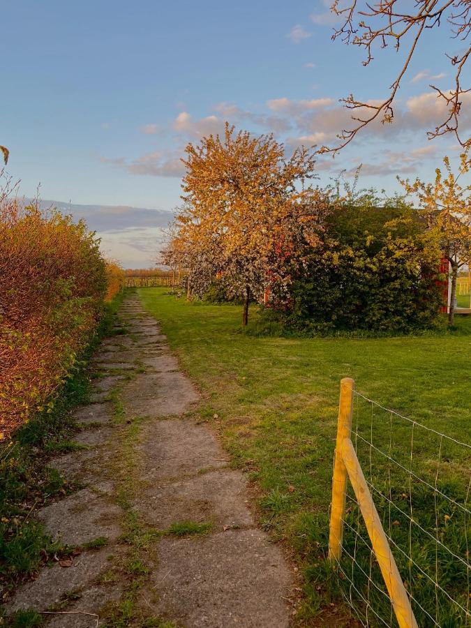 مبيت وإفطار Heijen De Heeren Hoeve Carpe Diem المظهر الخارجي الصورة